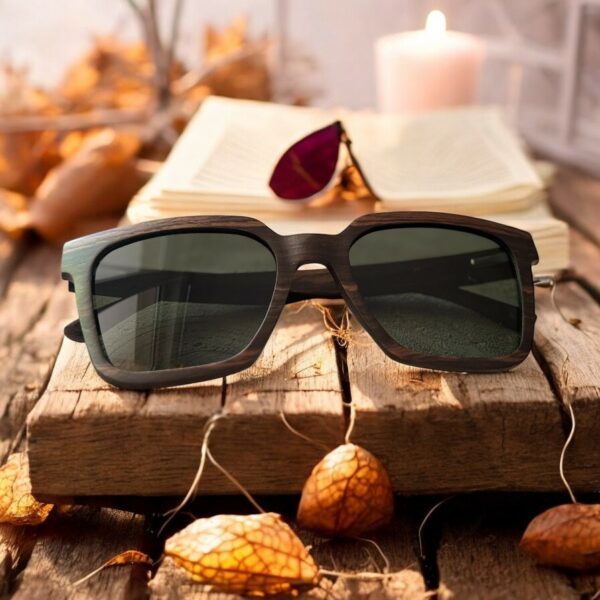 Lunettes de soleil ILS585 1 Lunettes de Soleil