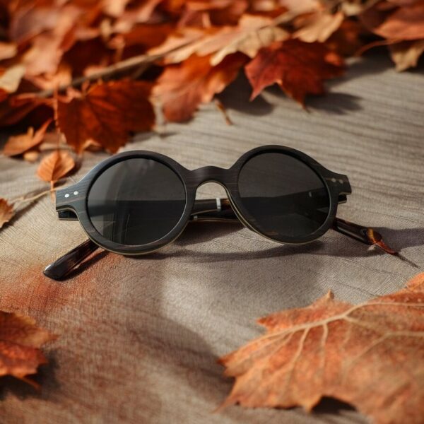 Lunettes de soleil ILS586 Lunettes de Soleil