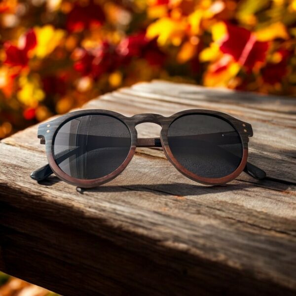 Lunettes de soleil ILS593 1 Lunettes de Soleil