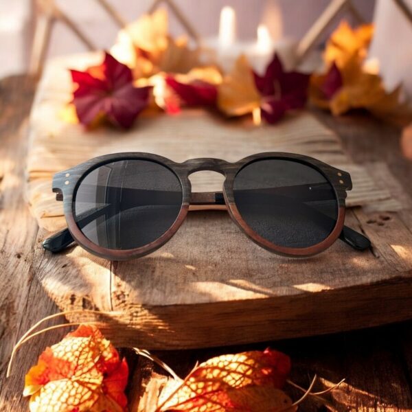 Lunettes de soleil ILS593 2 Lunettes de Soleil