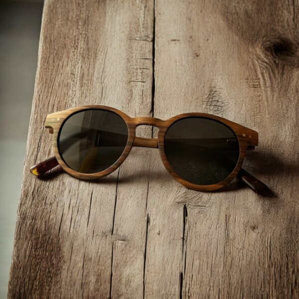 Lunettes de soleil ILS595 2