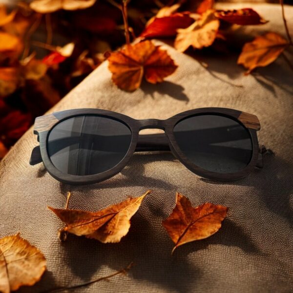 lunettes de soleil ILS584 5 Lunettes de Soleil