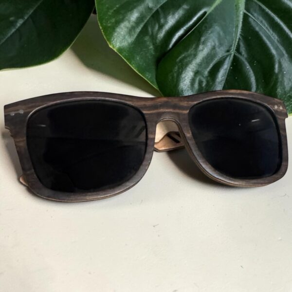 ils588 2 Lunettes de soelil